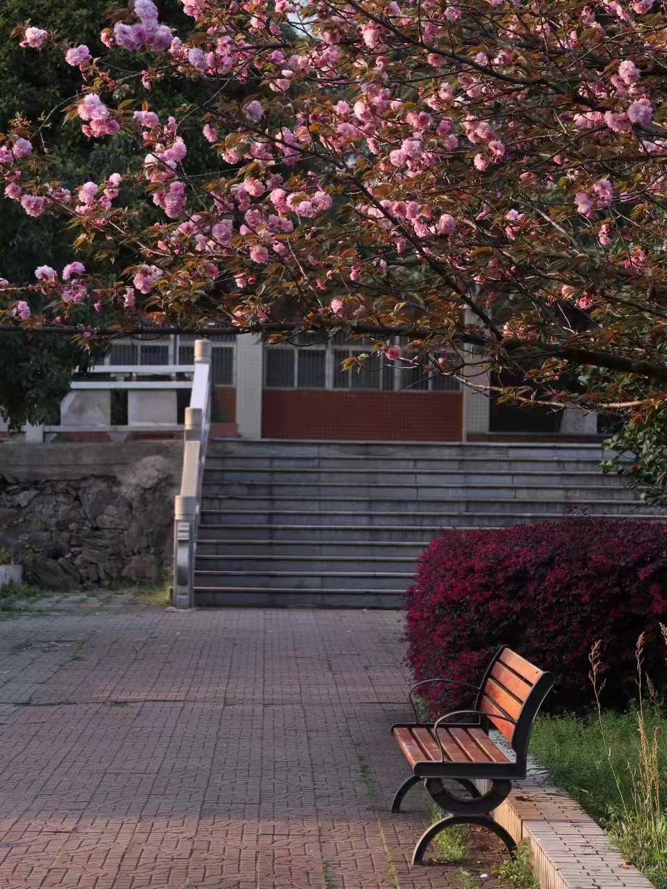 太阳成集团tyc9728