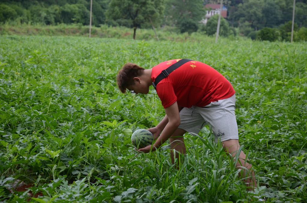 太阳成集团tyc9728