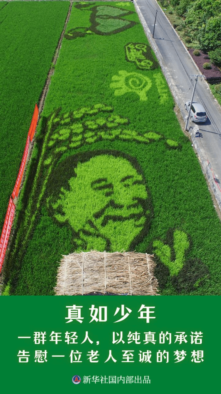 说明: https://boot-img.xuexi-cn/image/1004/process/8acf33d8ae814e63b7945c1660b5626b.png