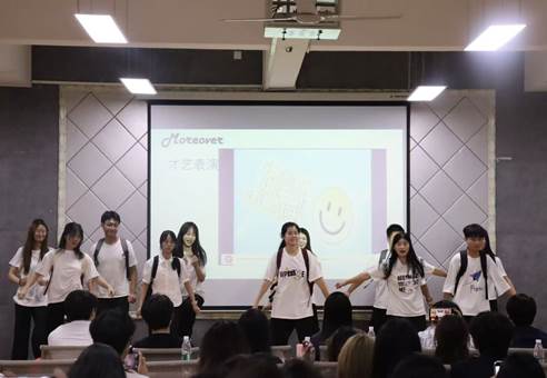 6fc382df5d8166eef388d51284e6a14